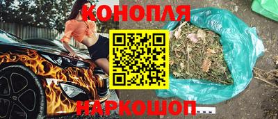 прущие крисы Новозыбков