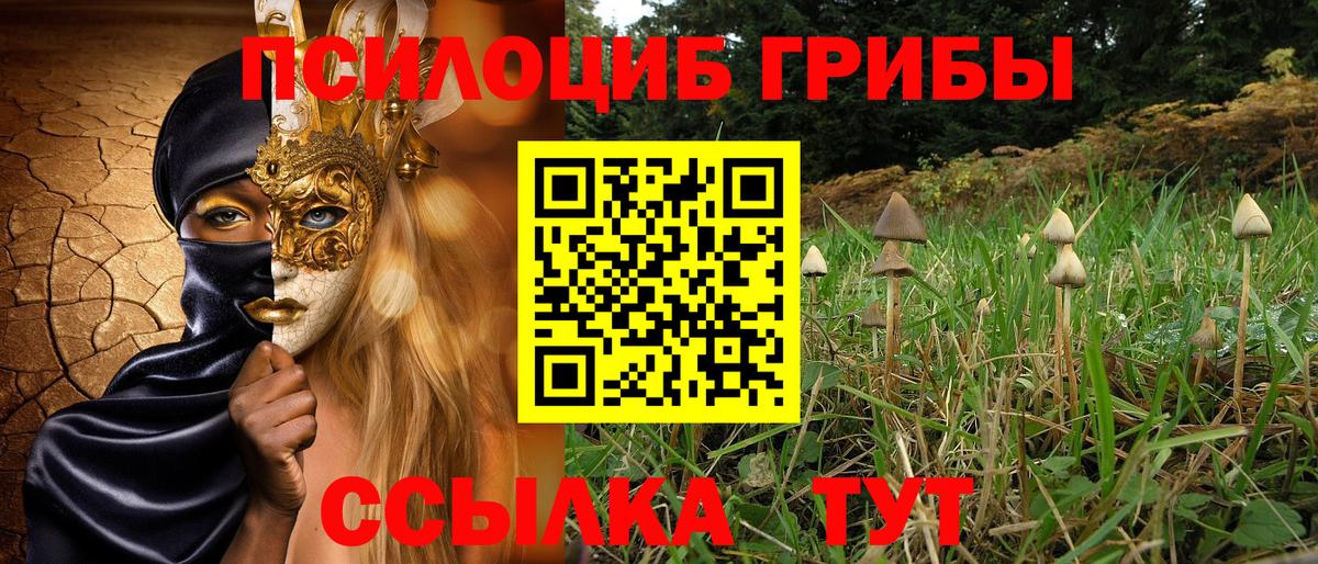 Псилоцибиновые грибы MAGIC MUSHROOMS Сосновоборск