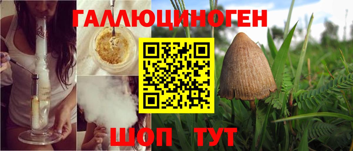 Сосновоборск  Псилоцибиновые грибы Magic Shrooms  Вход с VPN 